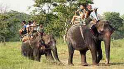 Chitwan Safari