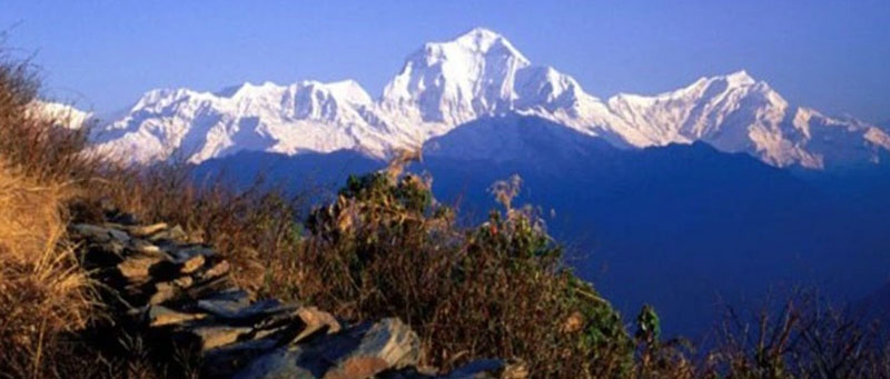 Ghorepani Poonhill Trek